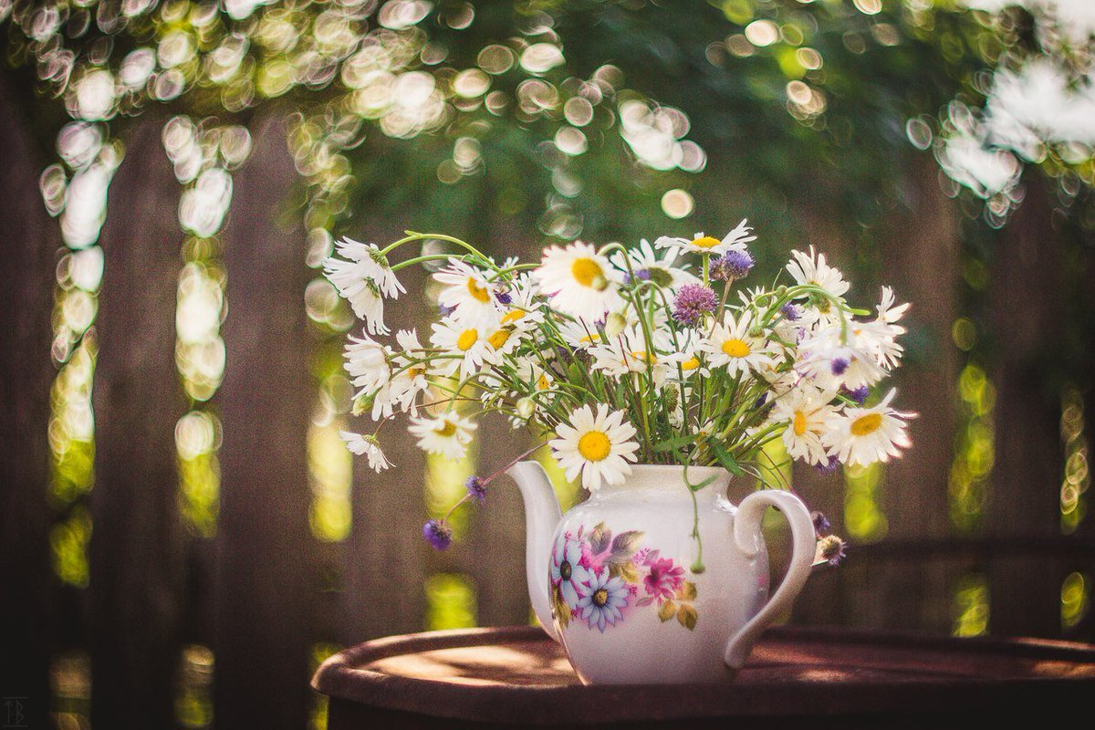 С Добрым Утром!!! Самое Красивое Пожелание! смотреть онлайн