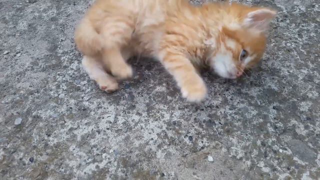 Славянск. 3 июля 2023г. Вечер. смотреть онлайн