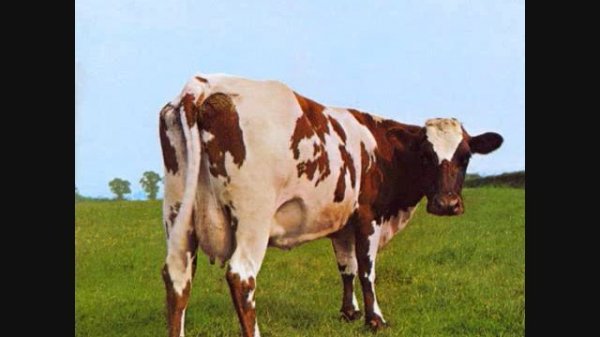 Pink Floyd - Morning Glory