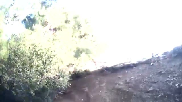 Tavşan Avı 4 2021 - 2022 rabbit hunting смотреть онлайн