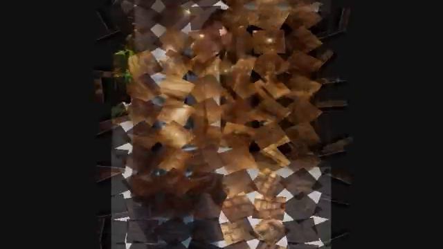 Тейлор Лотнер и его девушки 2.wmv