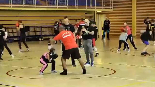 Seminar Sylla Kneginec смотреть онлайн