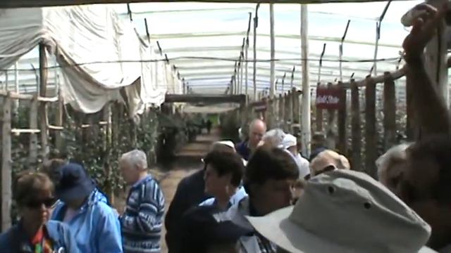 Harrison Ware at Rose Farm in Ecuador смотреть онлайн