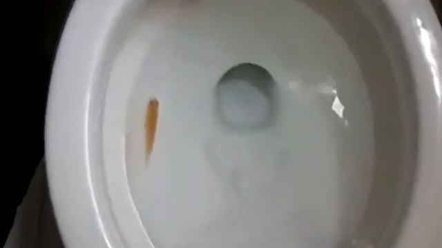 Не Вздумайте Пихать Это в Унитаз Иначе Случится вот что…