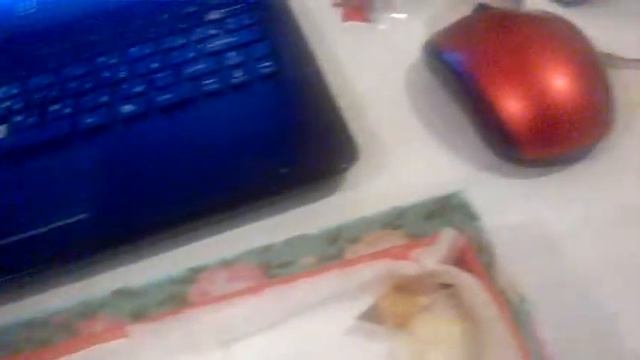 МОЯ КОЛЛЕКЦИЯ МОРСКИХ И РЕЧНЫХ РАКУШЕК смотреть онлайн