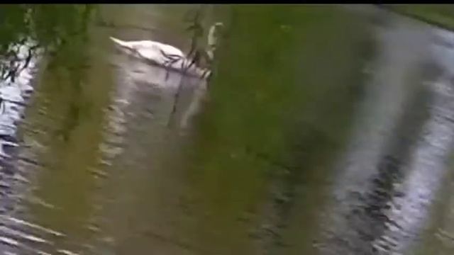 Судьба нам лишних не дает. Марина Волнорезова. смотреть онлайн