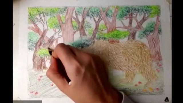 Превью мастер-класса "Рисуем МЕДВЕДЯ В ЛЕСУ". Цветные карандаши 5+ смотреть онлайн