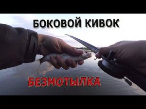 Летняя безмотылка и боковой кивок - бегущая оснастка