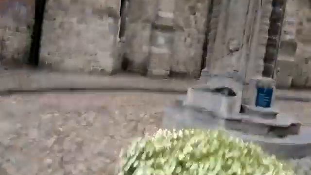 Амма Мама Криминал или прогулка пса Додика смотреть онлайн