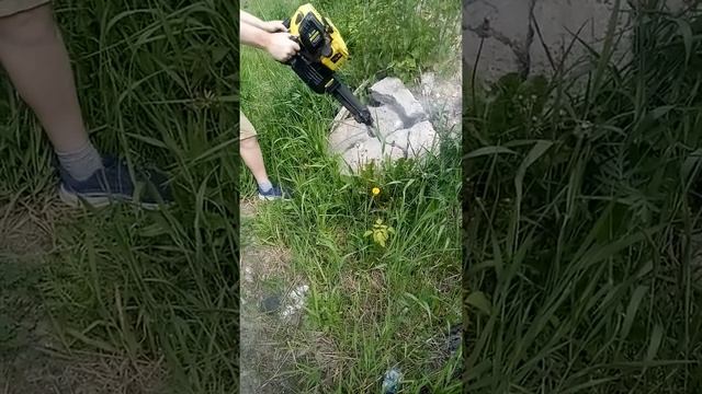 1 июня 2022 г. смотреть онлайн