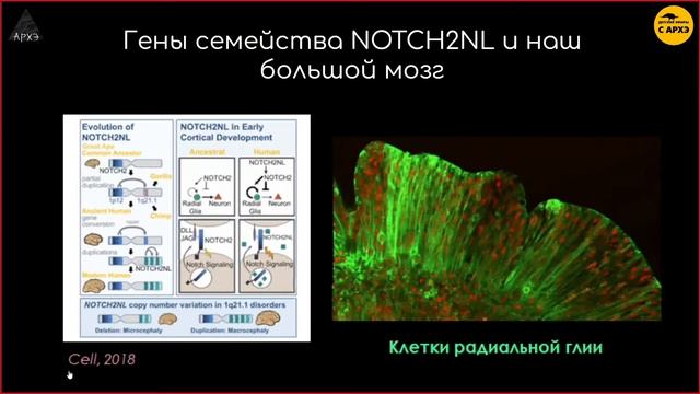 Мини-органы | Татьяна Шнайдер (выпуск 8) смотреть онлайн