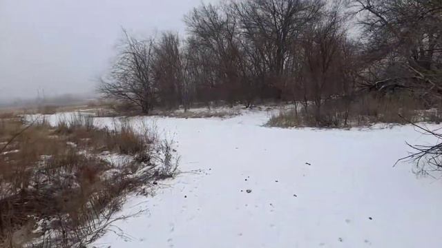 Волгоград, пропажа брата, прошел почти год. смотреть онлайн