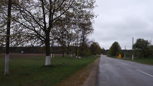 Прогулка Пешком По Мокрому Асфальту смотреть онлайн