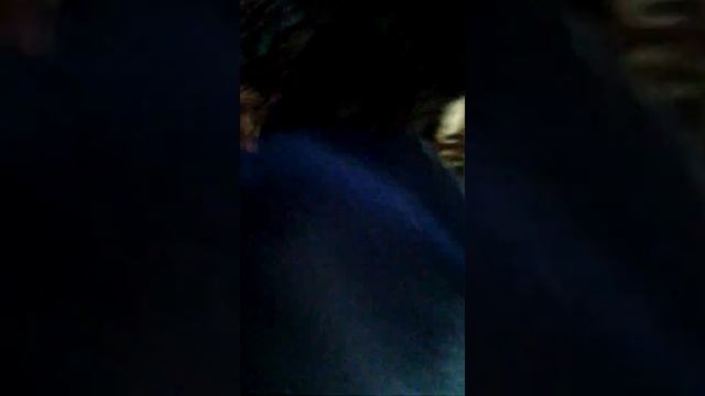 Третий день щенка у нас дома 1 месяц