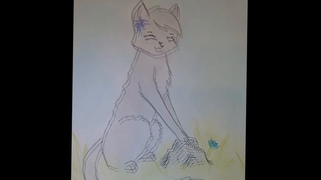 Коты-Воители^^ Как нарисовать Крутобока:) Смотрите в HD качестве! смотреть онлайн