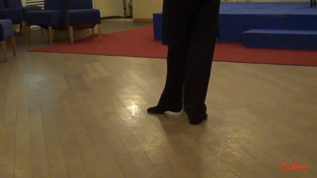 Argentine tango - Basic steps - Ocho Atrás, Crusada Basico, Ocho Cortado, Medio Giro смотреть онлайн