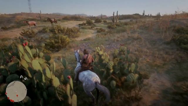 Red Dead Redemption 2 - All Thoroughbred horse coats смотреть онлайн