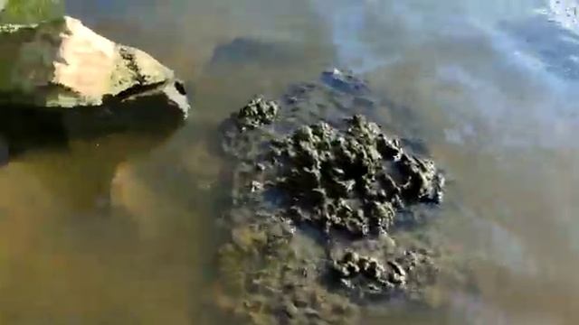 каяк fish solo испытание на воде с мотором 5 хидеа. смотреть онлайн