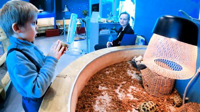 ФИЛИПП В КОНТАКТНОМ ЗООПАРКЕ ☺ смотреть онлайн