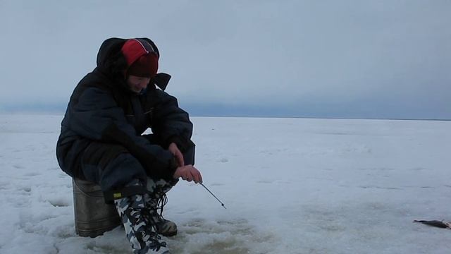 Рыбалка на Рыбинском водохранилище смотреть онлайн
