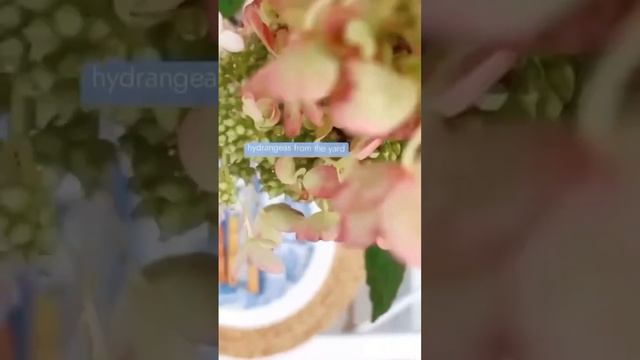 #гортензия #hydrangeaflower #hortensia #hydrangea #садгортензий #flower #garden #paniculata #сад смотреть онлайн