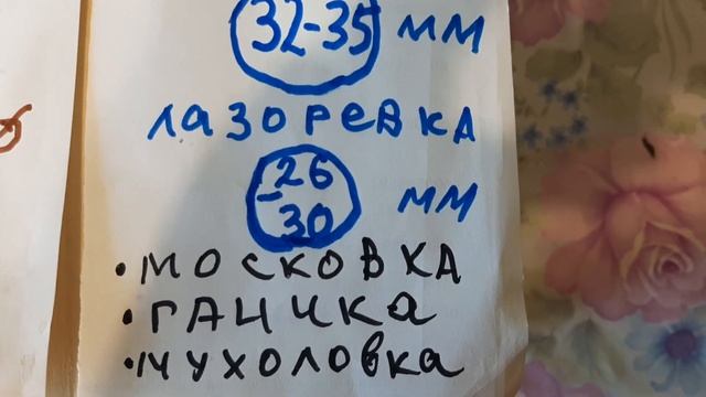 Синичник и скворечник.Вред саду ягод.Отличия размера диаметра входа, размеры летка, схема,чертеж . смотреть онлайн