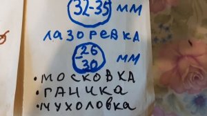 Синичник  и скворечник.Вред саду ягод.Отличия размера диаметра входа, размеры летка, схема,чертеж .