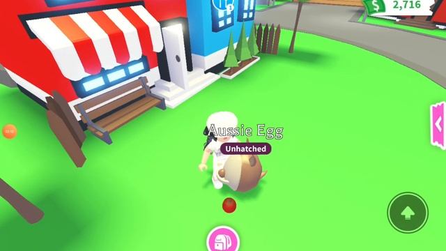 Открываю 4 австралийских яиц/роблокс адопт ми смотреть онлайн