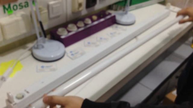 SYLVANIA F 36W/BLUE G13, обзор люминесцентной лампы от electropara.ru смотреть онлайн