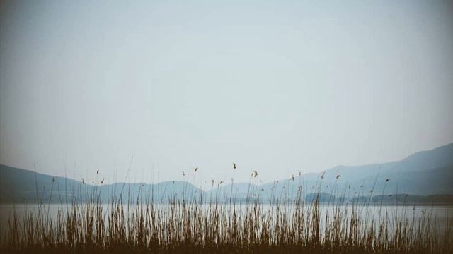 Ludovico Einaudi - Fox Tracks (Day 2) смотреть онлайн