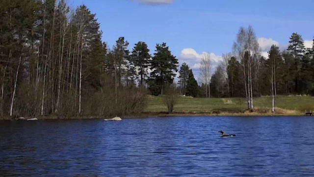 Soutuvideo #2, 13.05.2020 смотреть онлайн
