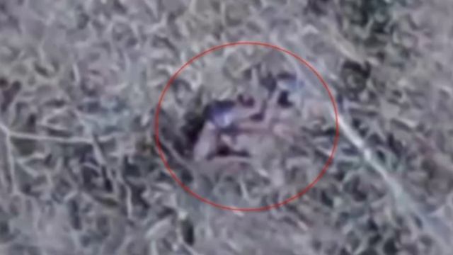 Влад Бахов! Разбор фото с высоты!