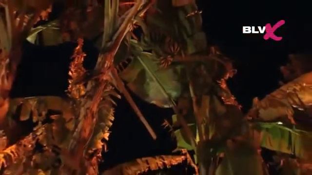 путешествия на машине Франция One night in Monaco Монако вечер Часть 41 смотреть онлайн