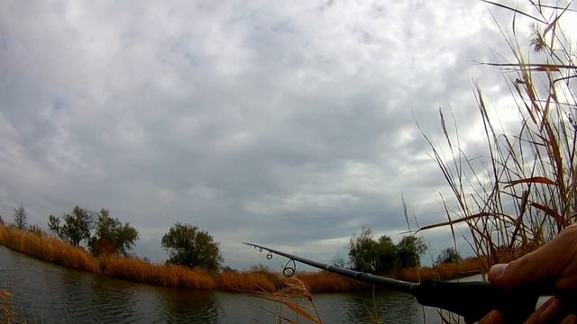 Поиск щуки на малом водоеме. Часть 3. Джиг. Keitech Easy Shiner. Как покажет себя топовый силикон?