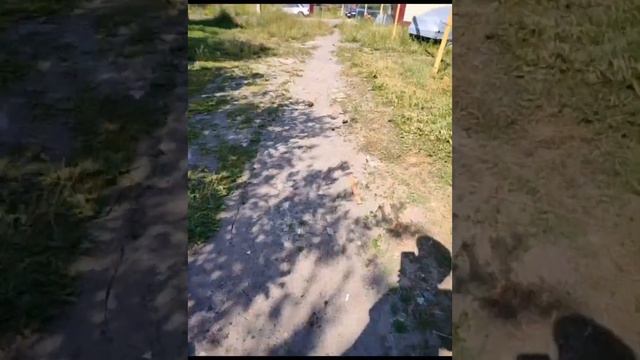 Я В ДЕРЕВНЕ У БАБУШКИ смотреть онлайн