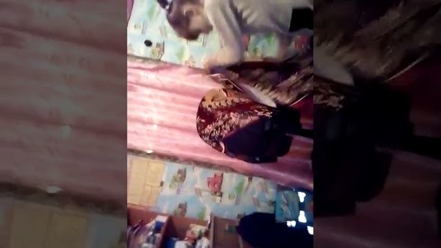 Как сделать халабуду смотреть онлайн