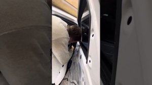 Как снять заднюю  ручку двери хавал джулион