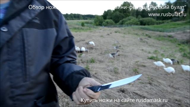 Обзор ножа "Грибник-5". Гусиная мини-ферма. смотреть онлайн