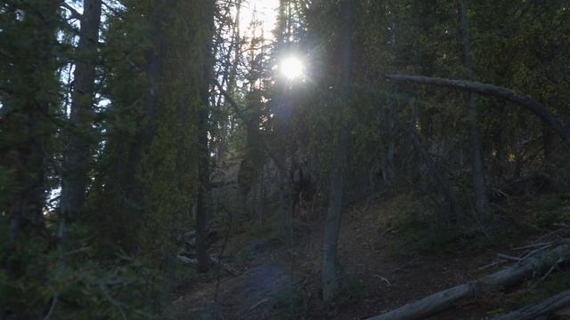 HUNT THE WILD: BLOOD TRAIL - S2, EP28 смотреть онлайн