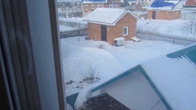 СИБИРСКИЕ КУРОПАТКИ ходят во дворе, зима подходит к концу. смотреть онлайн