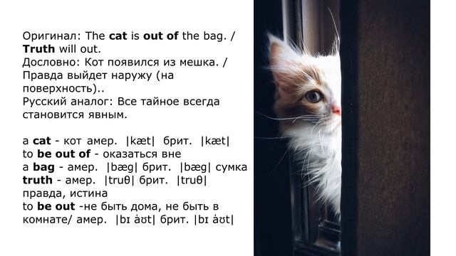 Пословицы и поговорки на английском с переводом на русский язык. Разбор пословиц и поговорок. смотреть онлайн