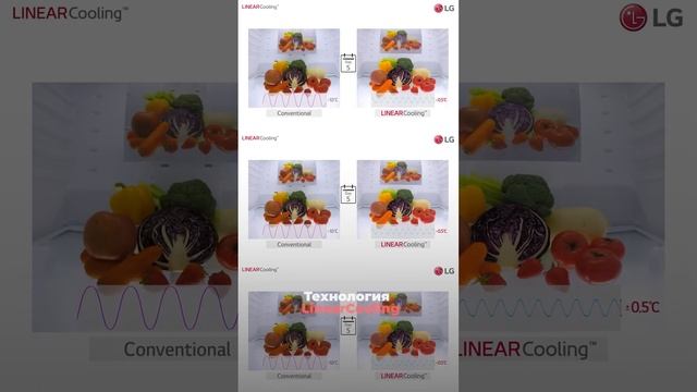 Обзор на холодильник LG Objet смотреть онлайн