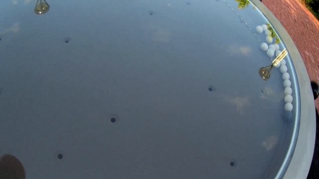 Сочи Парк. Занимательный уголок. ПАПА ПОТЕРЯЛСЯ!!! смотреть онлайн