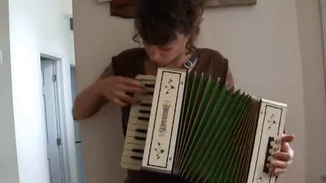 244 - Vintage Alpine Hohner Supertone 8 $295 смотреть онлайн