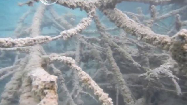Laguna Yolnhajab смотреть онлайн