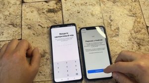 КАК СКОПИРОВАТЬ/ПЕРЕНЕСТИ ДАННЫЕ С АНДРОИДА НА АЙФОН? ПЕРЕНОС ФОТО И КОНТАКТОВ С ANDROID НА IPHONE?