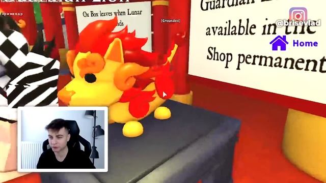 3 СПОСОБА получить БЕСПЛАТНО Льва Хранителя в Адопт Ми Роблокс. Конкурс на Guardian Lion Adopt Me! смотреть онлайн