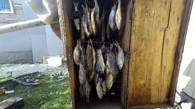 Копчение рыбы холодным дымом смотреть онлайн