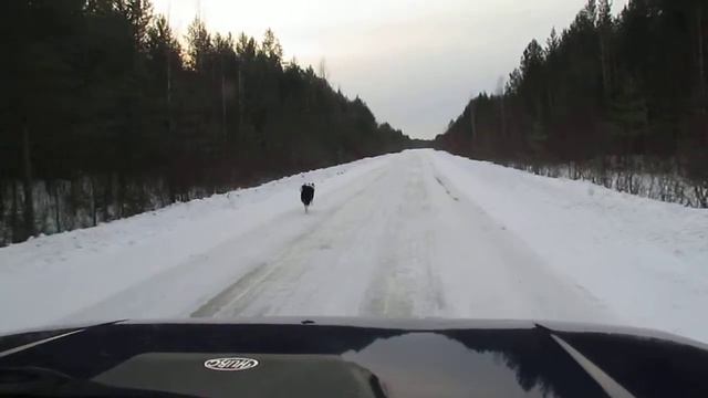 Нагонка Лая смотреть онлайн