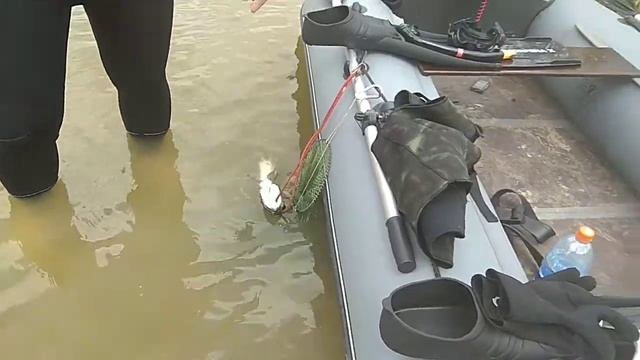 Съездили на рыбалку на реку Битюг. смотреть онлайн